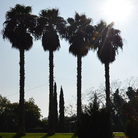 Villa Montanari Rosati Porto San Giorgio Zewnętrze zdjęcie