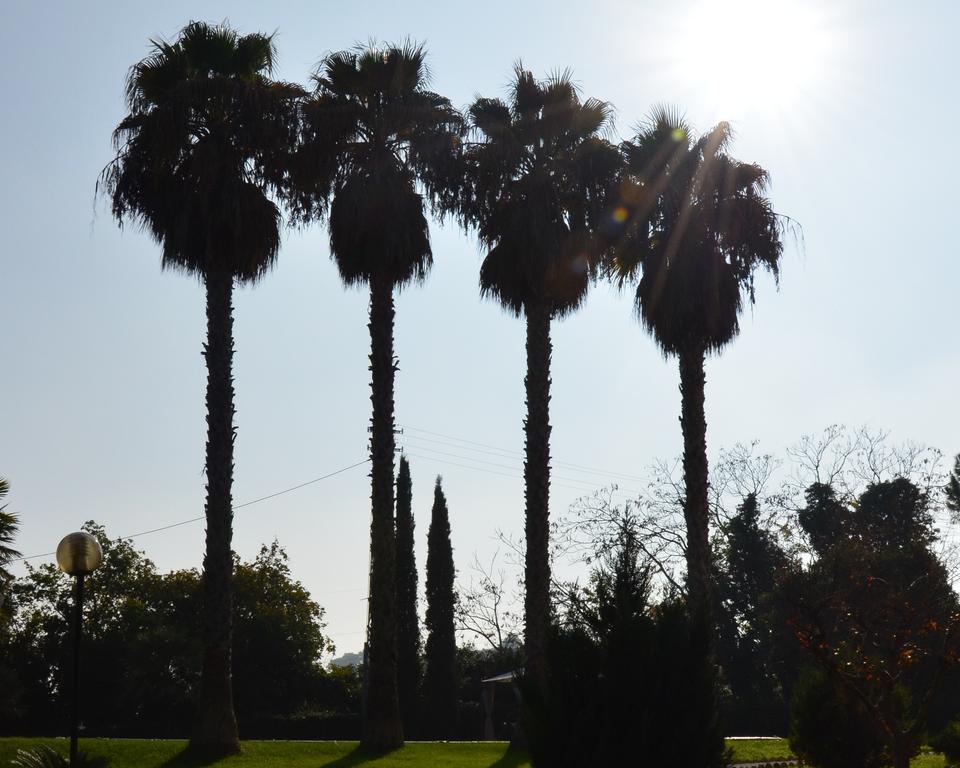 Villa Montanari Rosati Porto San Giorgio Zewnętrze zdjęcie